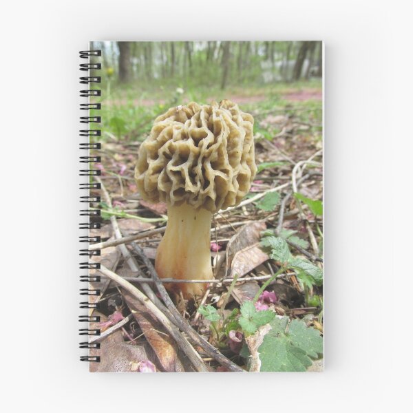 Item preview, Morel Mushroom ~ designed and sold by Ginny York.