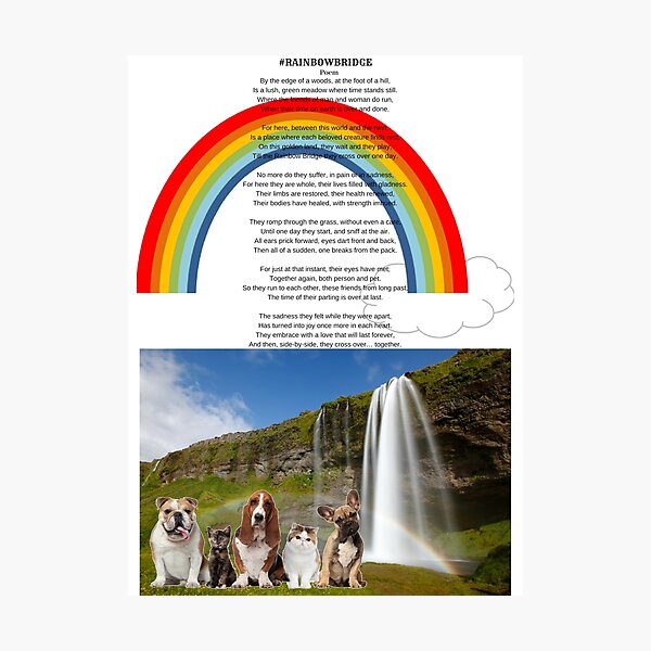 Rainbow Bridge Poem Photographic Prints Redbubble