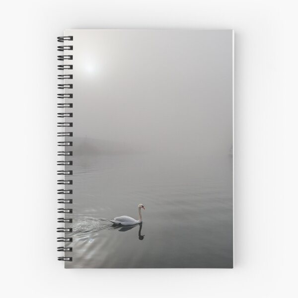 Artikelvorschau, Höckerschwan im Nebel über dem Fluss, Wintertag. Natur in der Stadt entworfen und verkauft von Alexander Sorokopud.