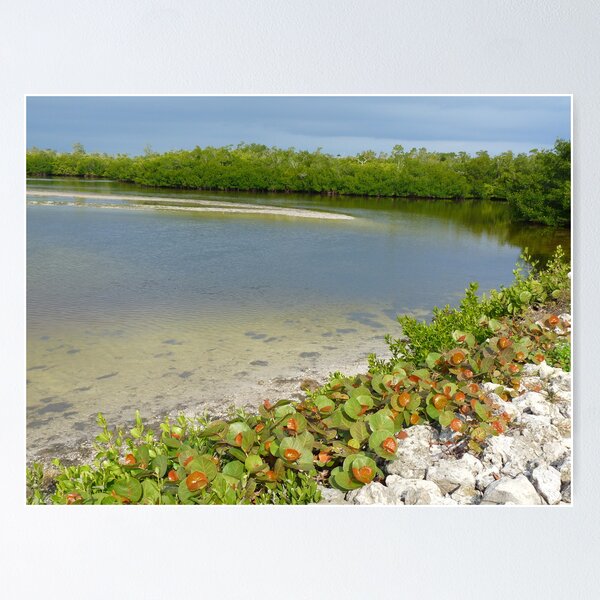 Item preview, Ding Darling National Wildlife Refuge  designed and sold by clizzio.