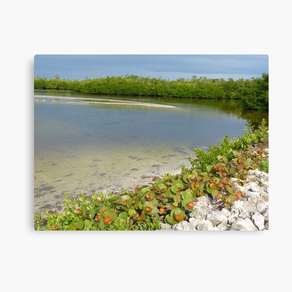 Item preview, Ding Darling National Wildlife Refuge  designed and sold by clizzio.