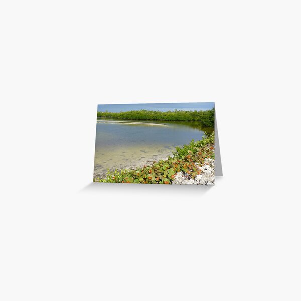 Item preview, Ding Darling National Wildlife Refuge  designed and sold by clizzio.