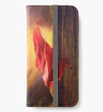 Red Shawl II iPhone Wallet/Case/Skin