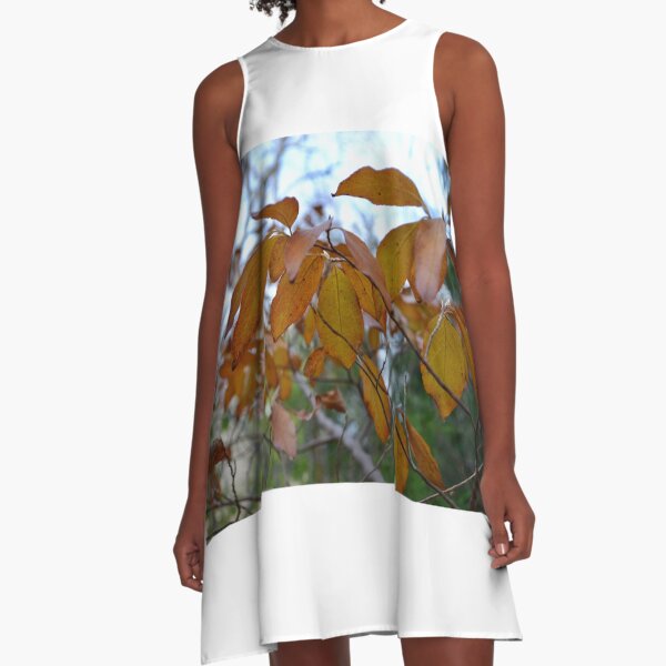 Warm Autumn Afternoon A-Line Dress