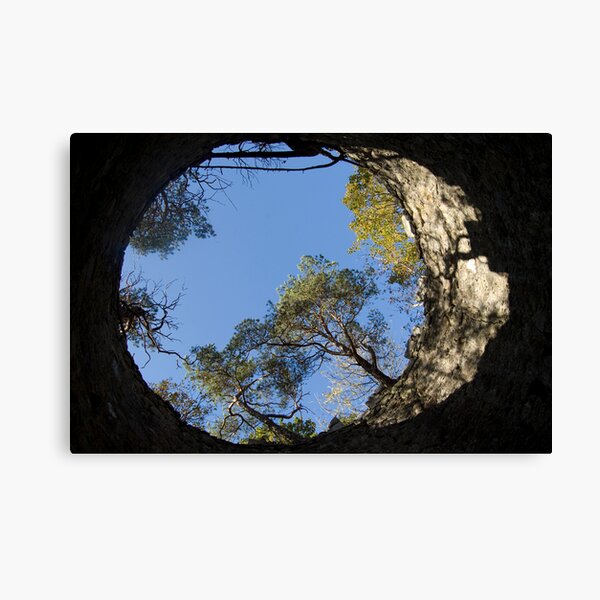 Item preview, Look Up designed and sold by Susan April Wilson.