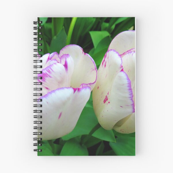 Item preview, TulipTwins designed and sold by Kathryn Jones.