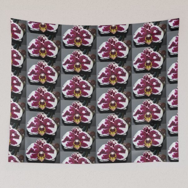 Item preview, Orchid, nature designed and sold by Sternchen2789.