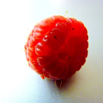 Artwork thumbnail, Highkey Raspberry by bubblehex08