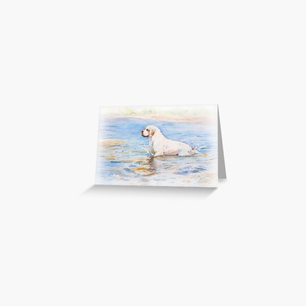 Reflection Greeting Card