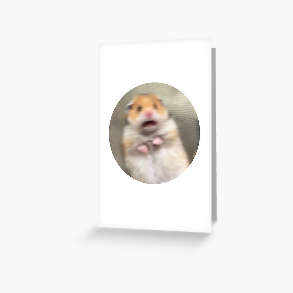 scared-hamster-sticker-greeting-card-by-pizzaisdope-redbubble