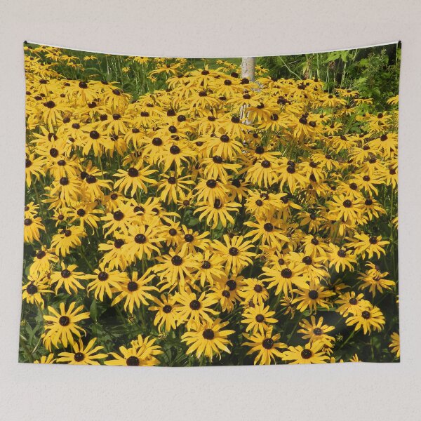 Item preview, Rudbeckia hirta, black-eyed Susan designed and sold by Schoensl.