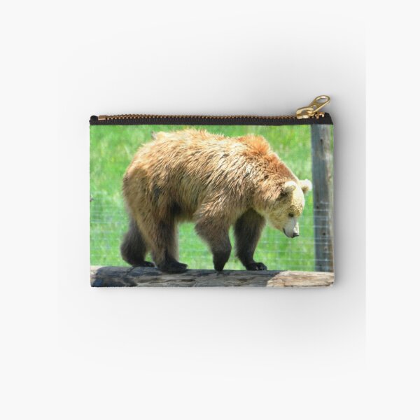 Item preview, Young Grizzly Bear designed and sold by Amy McDaniel.