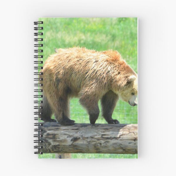 Item preview, Young Grizzly Bear designed and sold by Amy McDaniel.