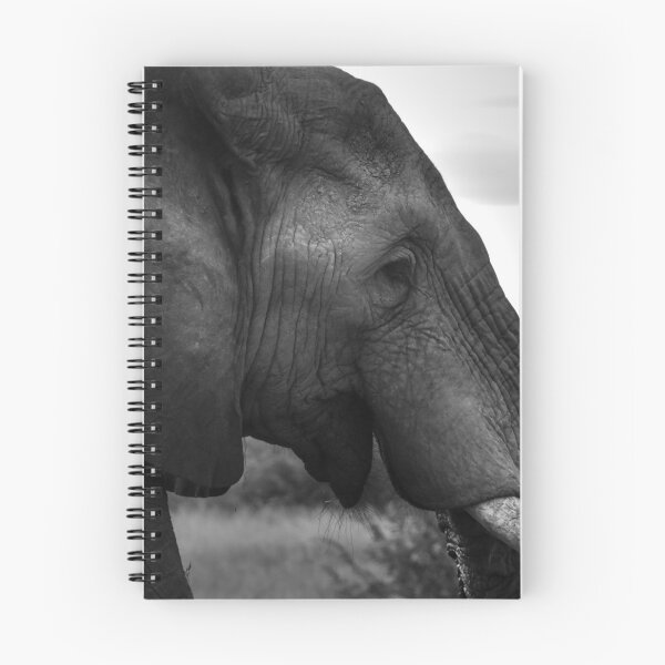 Item preview, Large Male Elephant designed and sold by vrphotographysa.