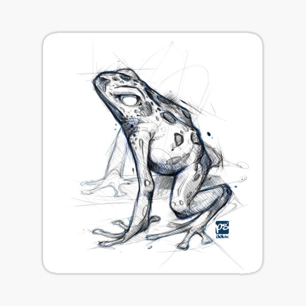 poison dart frog sketch Sticker