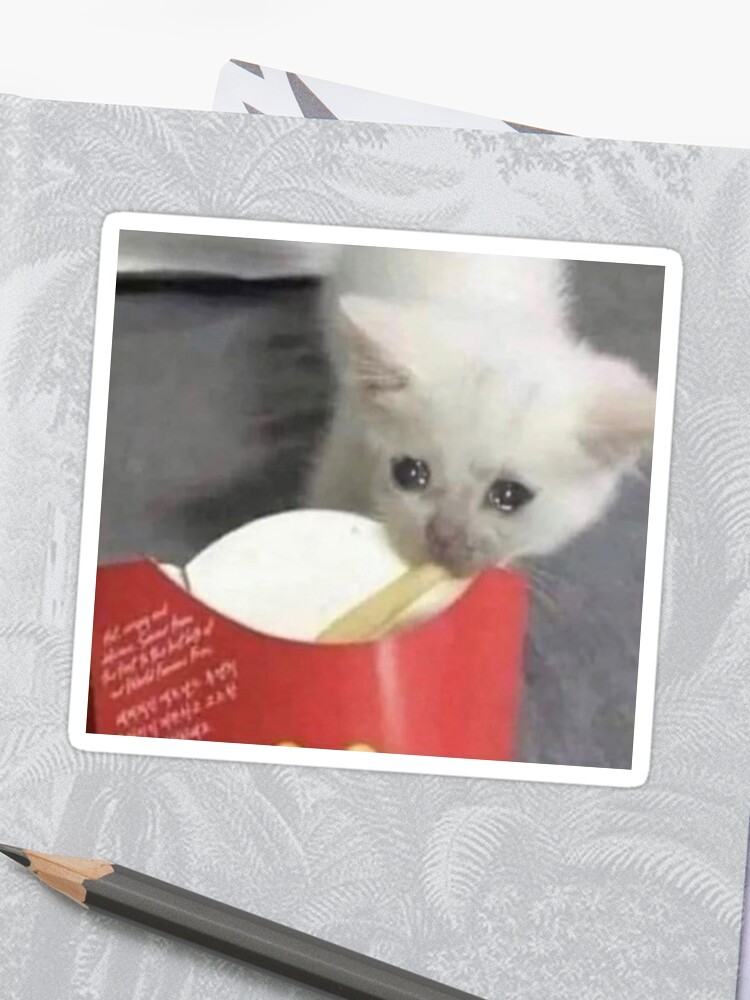 Sad Cat Meme Eating