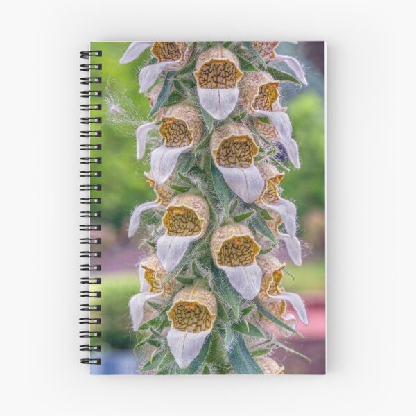 Item preview, Grecian Foxglove designed and sold by Kenneth Keifer.