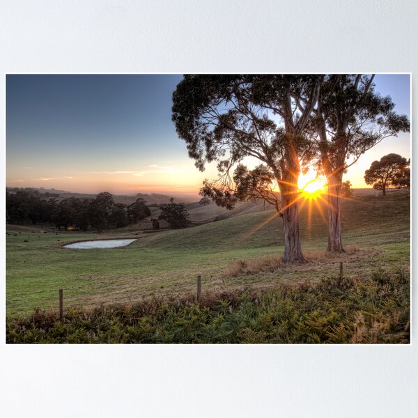 Item preview, Gippsland Sunrise • Gippsland • Victoria designed and sold by William Bullimore.