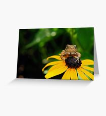 The Harbinger Greeting Card