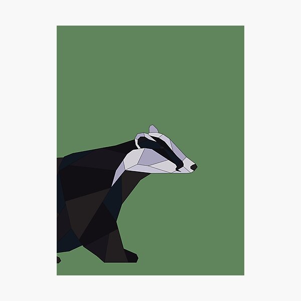 Geometric Badger Photographic Print