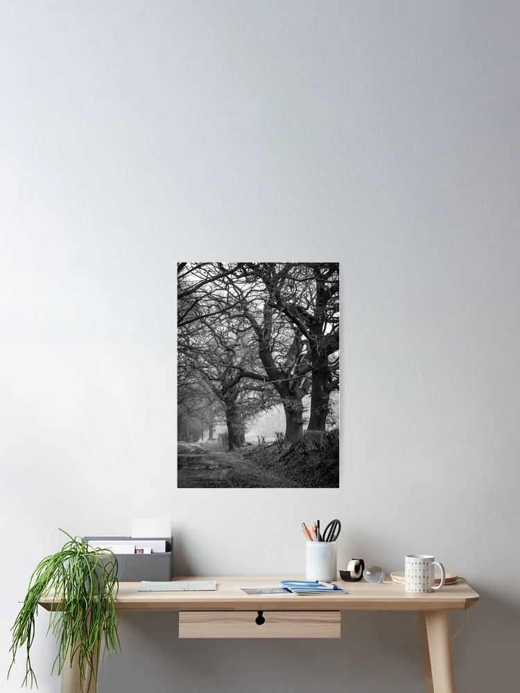 Thumbnail 2 of 3, Poster, Tree stories designed and sold by Tadas Svetikas.