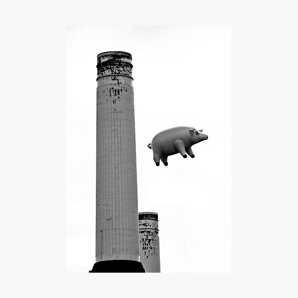 Item preview, Pink Floyd Pig at Battersea designed and sold by dawnrosie.