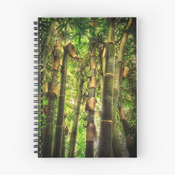 Item preview, Bamboo designed and sold by Photography & Emotive Ai.