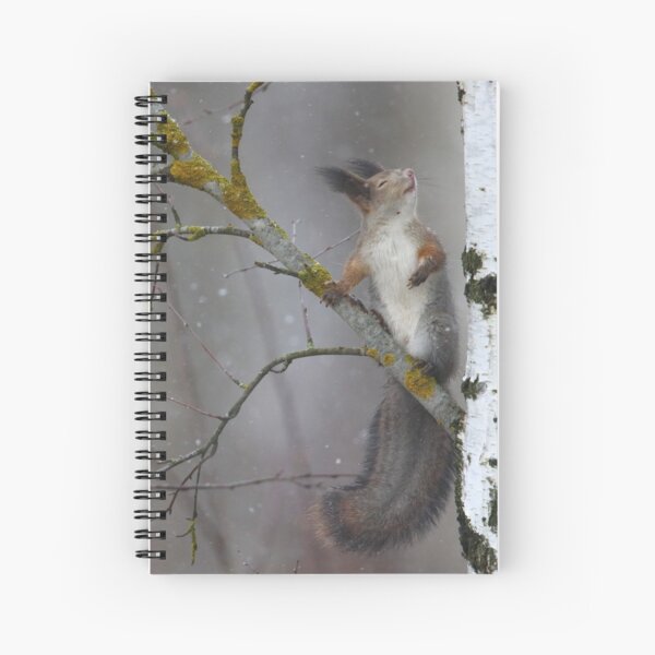 Item preview, Dreamer designed and sold by Remo Savisaar.