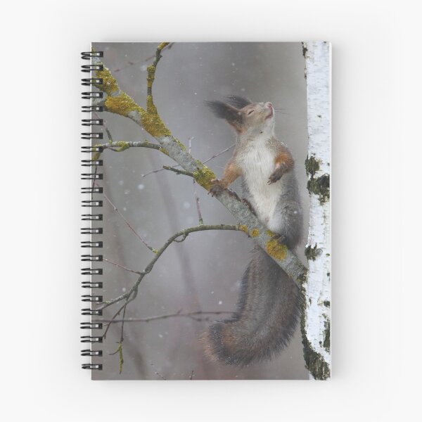 Item preview, Dreamer designed and sold by Remo Savisaar.