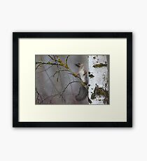Dreamer Framed Print