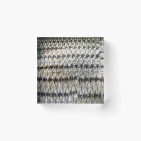 Item preview, Striper scales designed and sold by jonesing.