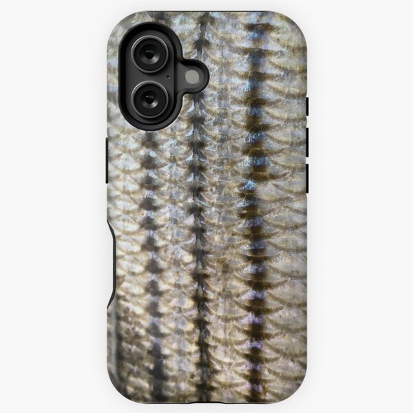 Item preview, Striper scales designed and sold by jonesing.