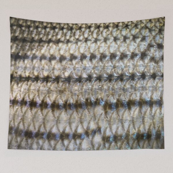 Item preview, Striper scales designed and sold by jonesing.