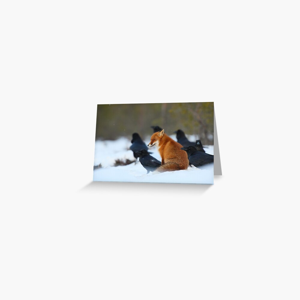 Item preview, Greeting Card designed and sold by wildphoto.