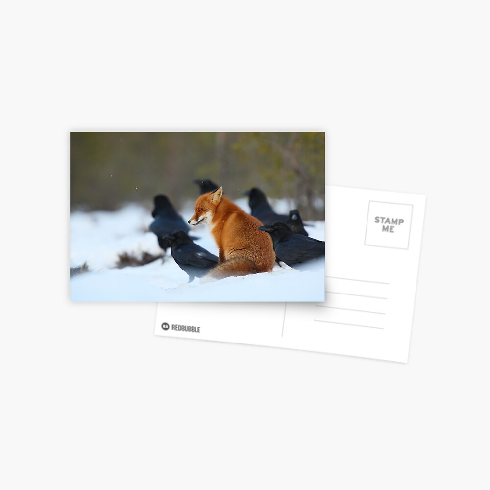 Item preview, Postcard designed and sold by wildphoto.