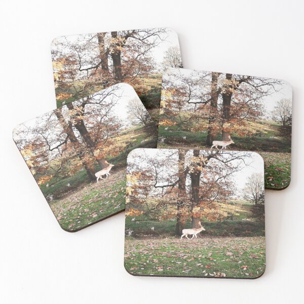 Item preview, Birds & Animals BA138b designed and sold by Hyperion Photoart.