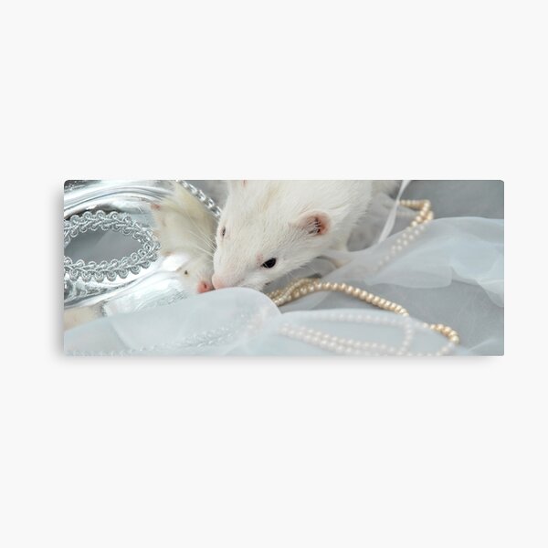 Diva Canvas Print