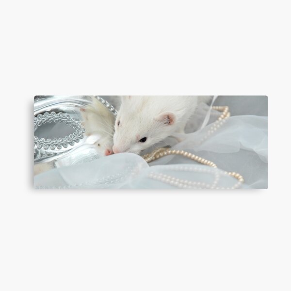 Diva Metal Print