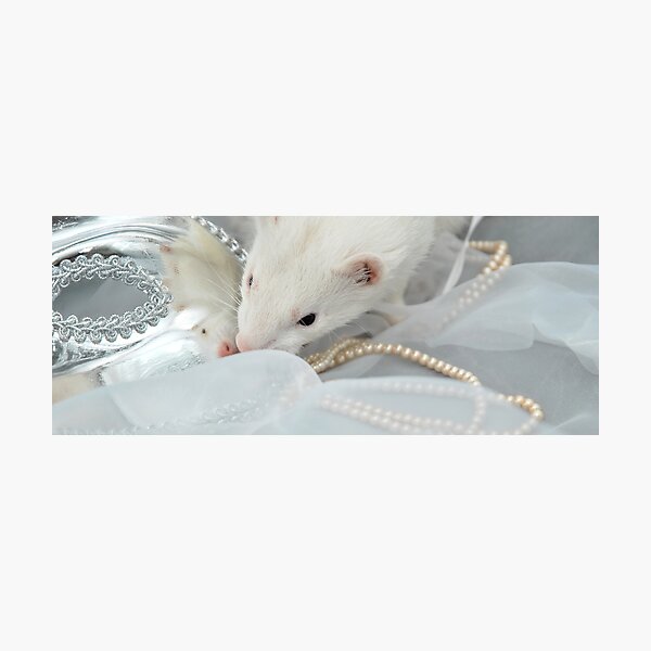 Diva Photographic Print