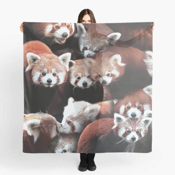 Pandas rojos Pañuelo