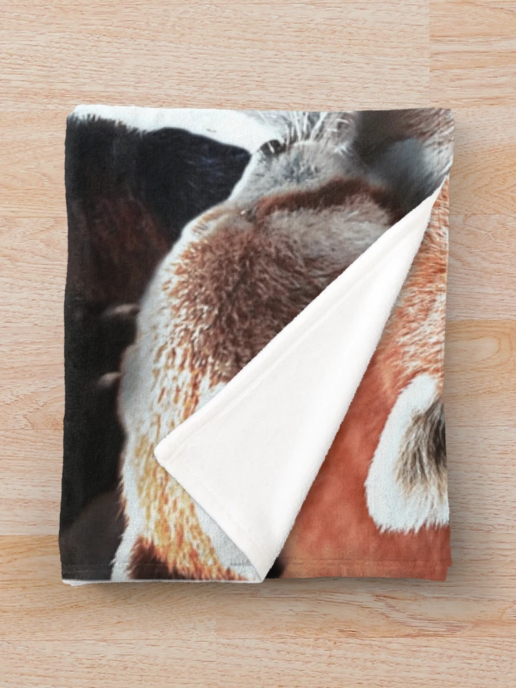 Aperçu 3 sur 6. Plaid avec l'œuvre Pandas Rouges créée et vendue par MaxencePierrard.