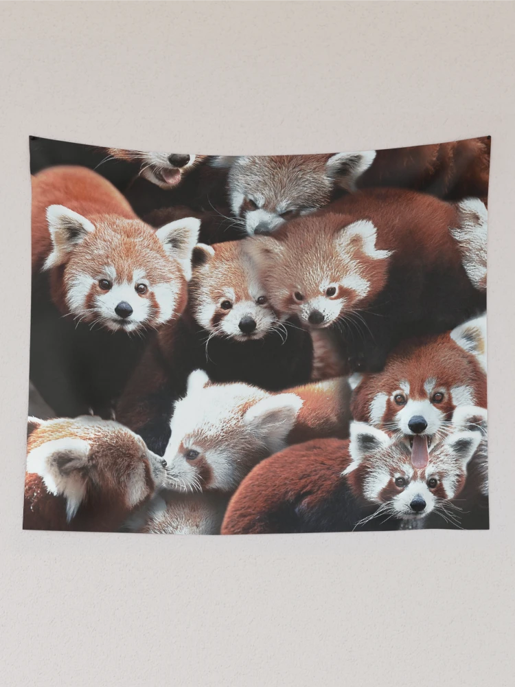 Aperçu 2 sur 3. Tentures avec l'œuvre Pandas Rouges créée et vendue par MaxencePierrard.