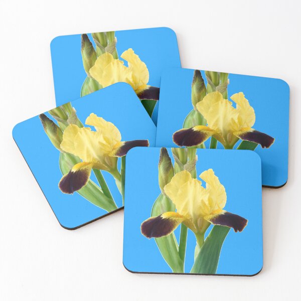 Item preview,  Bearded iris designed and sold by Chris Burrows.