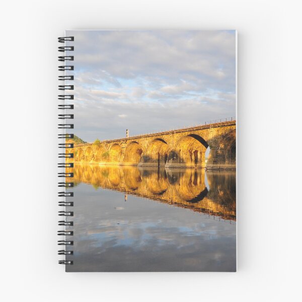 Item preview, Reflection of History - V designed and sold by Corkle.