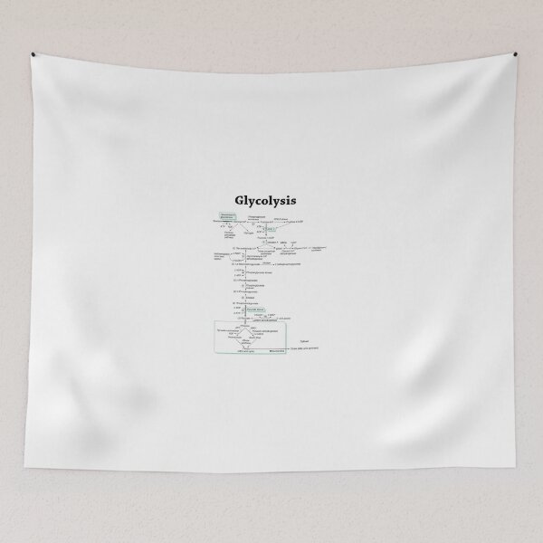 Item preview, Glycolysis pathway biochemistry biochemical designed and sold by vbalazs726.