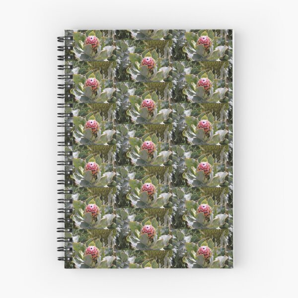 Item preview, Protea eximia bud designed and sold by BiodiversityRocks.