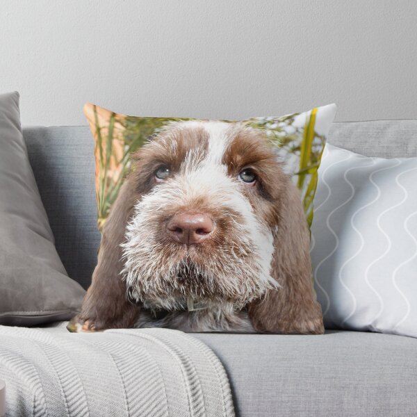Brown Roan Spinone Puppy Throw Pillow