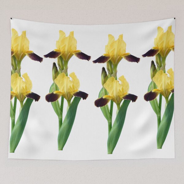 Item preview, Bearded iris designed and sold by Chris Burrows.