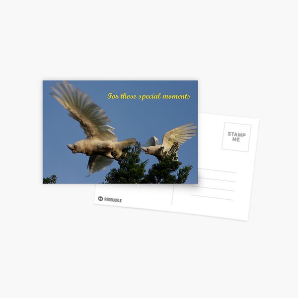 For those special moments Postcard