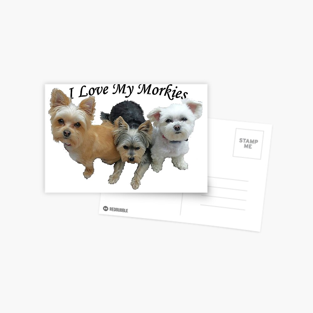 Maltese Yorkie PERSONALIZED I Love My Morkie MAGNET 